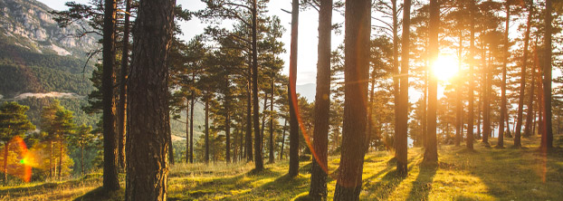 Moving to a higher integrity market